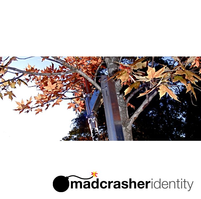 Identity album cover
